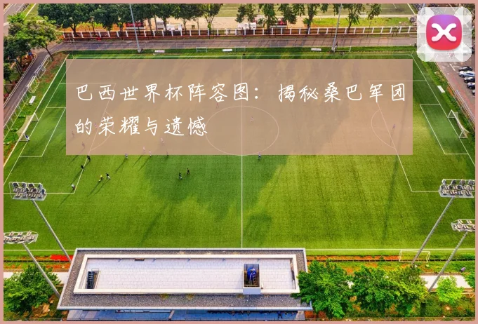 巴西世界杯阵容图：揭秘桑巴军团的荣耀与遗憾