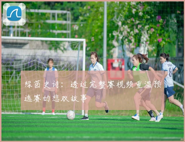 绿茵史诗：透过完整赛视频重温预选赛的悲欢故事