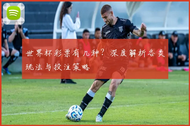 世界杯彩票有几种？深度解析各类玩法与投注策略