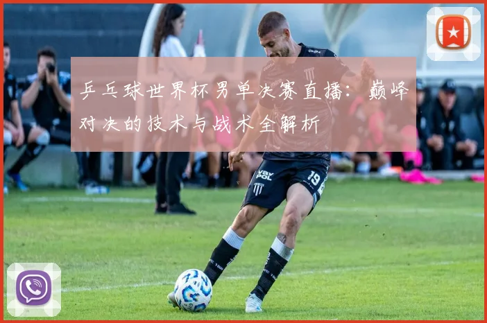 乒乓球世界杯男单决赛直播：巅峰对决的技术与战术全解析