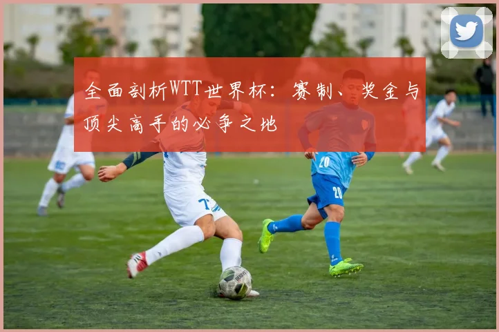 全面剖析WTT世界杯：赛制、奖金与顶尖高手的必争之地